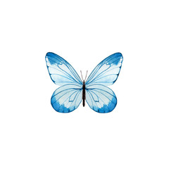 Watercolor butterfly isolated on white