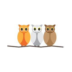 Colorful owl vector illustration