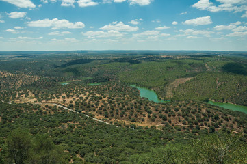 Tagus River in a valley with hills covered by trees