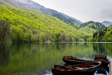 Montenegro, Pretty brown wooden rowboats anchoring on silent water of biogradsko glacial lake reflecting perfect nature landscape of biogradska gora national park