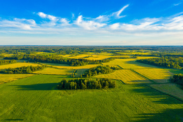 Top aerial view of green fields and meadows in summer. Abstract landscape with lines of fields, grass, trees, sunny sky and lush foliage. Landscape with drone. - Powered by Adobe