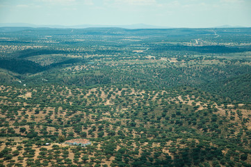 House in the middle of landscape covered by trees