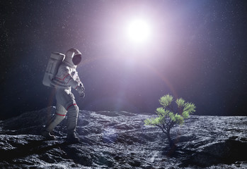 Astronaut exploring an alien planet. Green plant growing © Photocreo Bednarek
