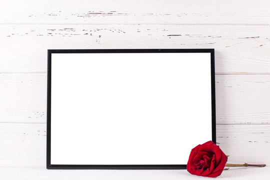 Empty black frame mockup and red rose flower