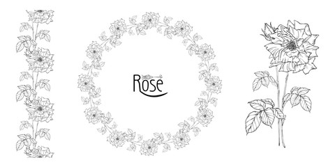 vector floral arrangement with rose flowers and rose buds