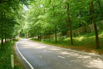 Obraz premium Empty two lane road with curve