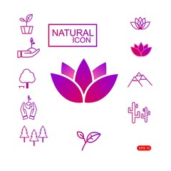 a simple set of natural icons