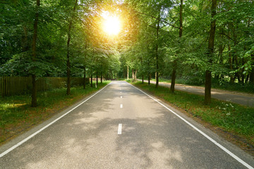 Empty highway in summer with sun between trees