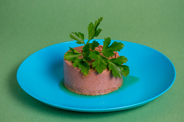 bowl with pate for animals on a green background