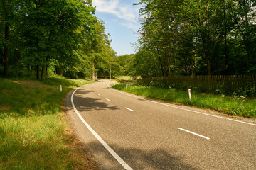 Curve in empty highway in summer