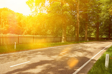 Empty road through green landscape in summer