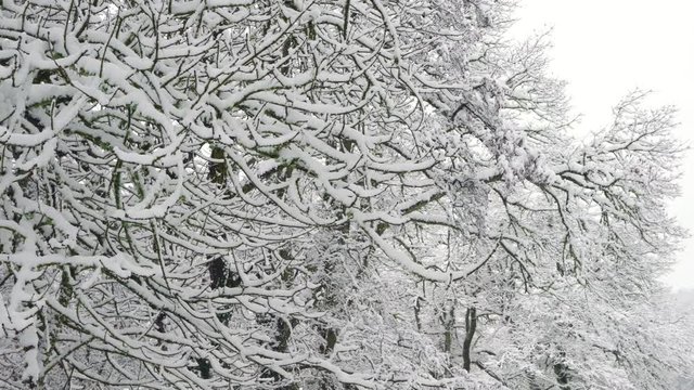 Gorbeia Natural Park, Alava, Basque Country, Spain, Europe