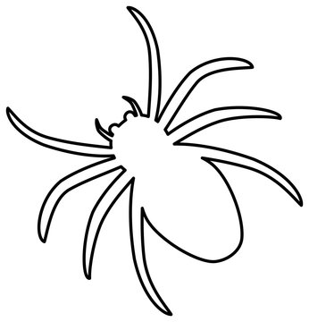 Spider outline icon. Vector illustration.