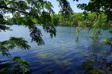 Sonnige Seelandschaft im Sommer mit grünen Zweigen und blauem, reflektierendem Wasser am...