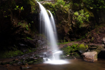 Fototapeta na wymiar Grotto Falls in Smoky Mountain National Park