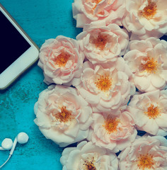 Beautiful summer background with fresh roses, smartphone and white earphones on an old painted wooden table for blogs, web design and seasonal cards