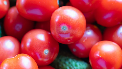 A lot of red tomato and green cucumber lying in the center.