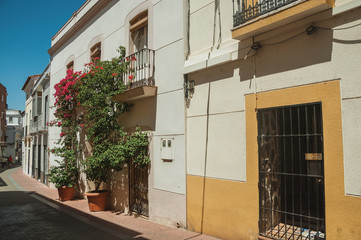 Building with balcony and flowers in street of Merida