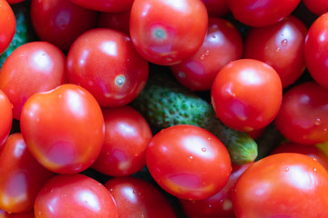 tomatoes on black background