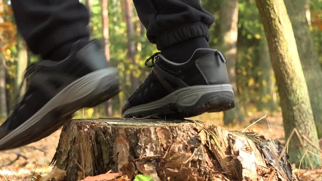 A hiking couple steps on a stump in a forest and walks on - closeup on the stump
