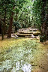 Sources de l'Huveaune