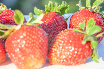 strawberry from a private garden