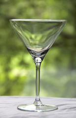 Vintage glass goblet on green background