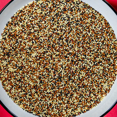 Bowl of White Black and Red Quinoa Seeds