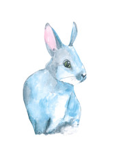 Watercolor rabbit hare isolated illustration on white background.Easter bunnies watercolor illustration