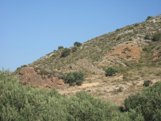 Fototapeta na wymiar Paisaje en tierras de secano con encinas (Quercus Ilex) y olivos (Olea Europaea)