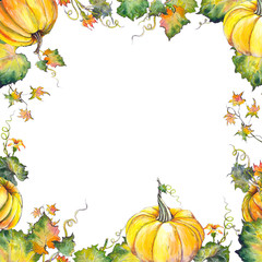 Naklejka na ściany i meble Square card with pumpkins, leaves and flowers. Watercolor illustration on white background.