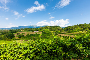 Monfumo hills in Italy