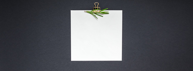 Blank notepad page with greens herbs and spices