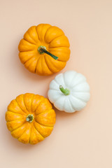 Fall background with small pumpkins