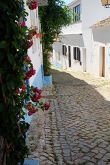 street in the village