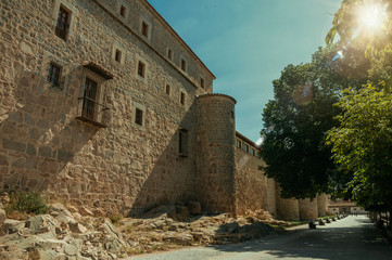 Sunbeam passing through leafy tree beside the city wall of Avila