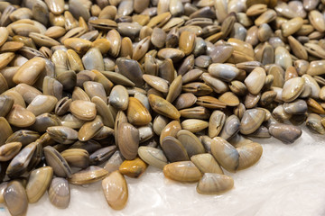 Of the market sea fish