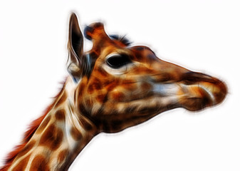 fractal Giraffe head face