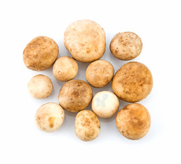 fresh astraeus isolated on white background top view