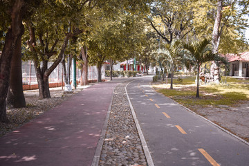 camino de un parque natural con doble vía rodeado de arboles