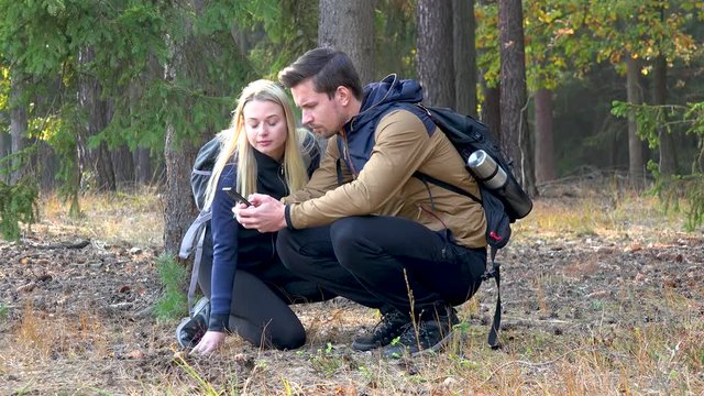 A hiking couple squats on the ground in a forest and looks at a smartphone