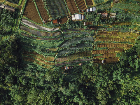 Aerial view of patchwork landscape