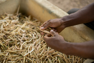 hands farmer