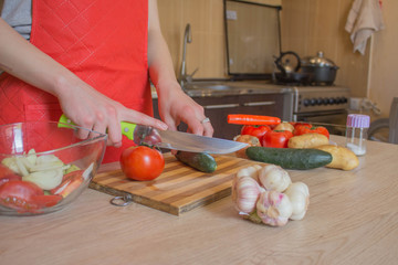 Woman hands cooking healthy meal in the kitchen, behind fresh vegetables. Cropped image of young girl cutting vegetables for Food