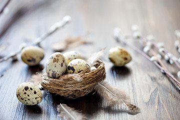 quail eggs, feathers, willow branches on a wooden table. Vintage effect