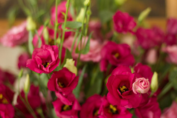 flowers in the garden