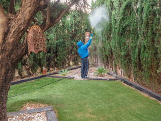 Man spraying a garden using pesticide and insecticide protected with mask
