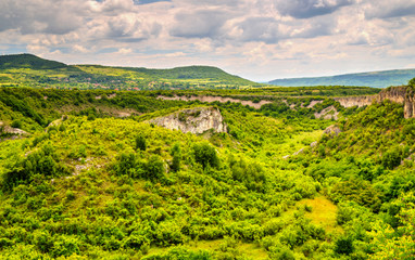 Beautiful summer landscape in mountain range