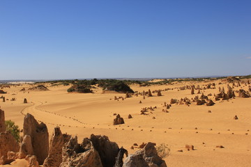 The Pinnacles, Nambung National Park, Western Australia, Outback, Down under, stone formations