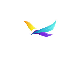 Obraz premium bird design logo 